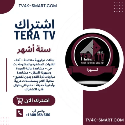 اشتراك سيرفر تيرا TERA 4K لمدة 6 أشهر
